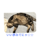 まんまるまるまーる（個別スタンプ：10）