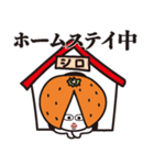 みかん、かぶってます（個別スタンプ：18）