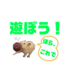 チーズ ザ ハムスター（個別スタンプ：10）