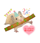 チーズ ザ ハムスター（個別スタンプ：15）