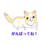 メモ機能手描きイラスト 犬＆猫（個別スタンプ：3）