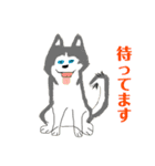 メモ機能手描きイラスト 犬＆猫（個別スタンプ：7）