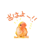 コザクラインコのつむぎさんときなこさん❤（個別スタンプ：36）