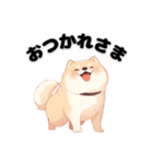 愛らしい犬スタンプ（個別スタンプ：3）