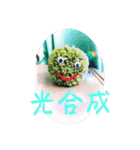 苔太郎スタンプ（個別スタンプ：4）