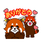 飛び出す！レッサーパンダ♡仲良しペア（個別スタンプ：2）