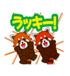 飛び出す！レッサーパンダ♡仲良しペア（個別スタンプ：13）