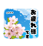 お名前が何度も変えられる春桜と青空/挨拶（個別スタンプ：4）