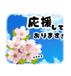 お名前が何度も変えられる春桜と青空/挨拶（個別スタンプ：16）