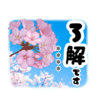 お名前が何度も変えられる春桜と青空/挨拶（個別スタンプ：33）