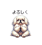 ドット絵 ペキニーズ 白 日常会話（個別スタンプ：5）