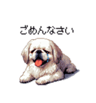 ドット絵 ペキニーズ 白 日常会話（個別スタンプ：15）