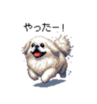 ドット絵 ペキニーズ 白 日常会話（個別スタンプ：27）