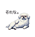 ドット絵 ペキニーズ 白 日常会話（個別スタンプ：28）