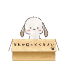 ほわほわんこ 1（個別スタンプ：12）