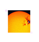 空に太陽がある限り生命は繁栄する月の関係（個別スタンプ：14）