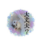 まつおふくちゃんスタンプ（個別スタンプ：7）