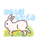 ぼけっとうさぎ（個別スタンプ：37）