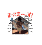 動く‼️牧家スタンプ2（個別スタンプ：2）