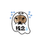 My Dog ミレちゃん 日常で使う会話編（個別スタンプ：15）