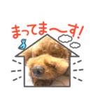 Sakura♡第2弾（個別スタンプ：4）