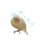 ゆるふわふみさんスタンプ2（個別スタンプ：6）