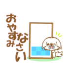 わんこ日和(白ペキニーズ)①-toYvu-（個別スタンプ：5）