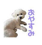 おもち通りまーす。（個別スタンプ：2）