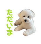おもち通りまーす。（個別スタンプ：3）