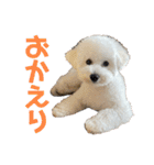 おもち通りまーす。（個別スタンプ：4）