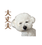 おもち通りまーす。（個別スタンプ：10）