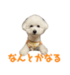 おもち通りまーす。（個別スタンプ：12）