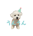 おもち通りまーす。（個別スタンプ：17）