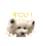 おもち通りまーす。（個別スタンプ：22）