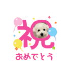 おもち通りまーす。（個別スタンプ：23）