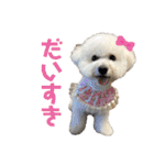 おもち通りまーす。（個別スタンプ：24）