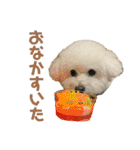 おもち通りまーす。（個別スタンプ：25）