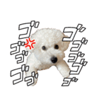 おもち通りまーす。（個別スタンプ：26）