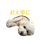おもち通りまーす。（個別スタンプ：27）