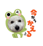 おもち通りまーす。（個別スタンプ：29）