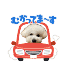 おもち通りまーす。（個別スタンプ：30）