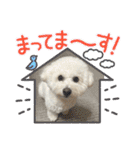 おもち通りまーす。（個別スタンプ：31）