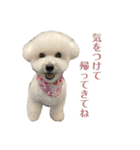 おもち通りまーす。（個別スタンプ：38）