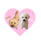 おもち通りまーす。（個別スタンプ：40）