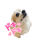 あるくうちゃん（個別スタンプ：2）