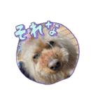 あるくうちゃん（個別スタンプ：3）