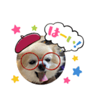 あるくうちゃん（個別スタンプ：12）