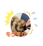 あるくうちゃん（個別スタンプ：13）