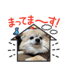 あるくうちゃん（個別スタンプ：16）