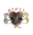 小泉家のアイドル（個別スタンプ：5）